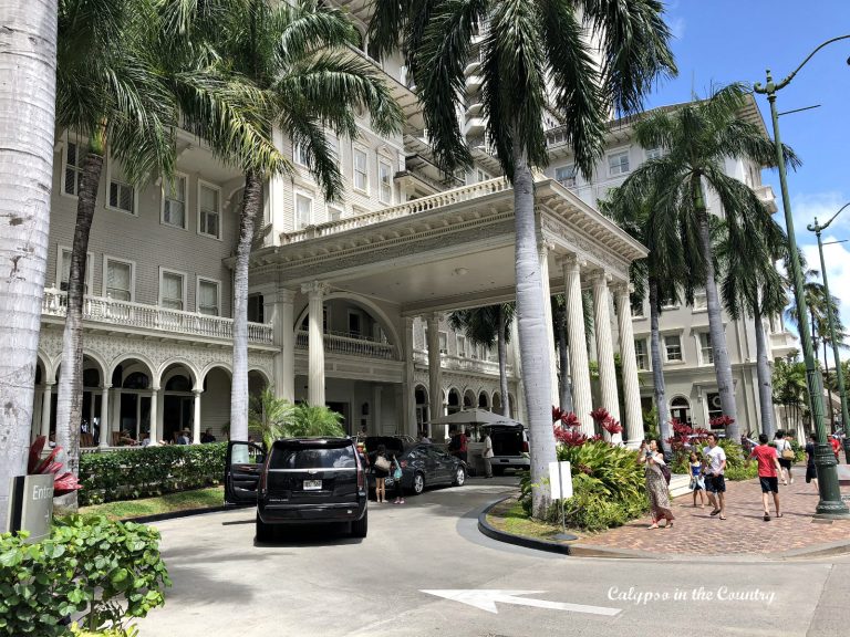 Challenges and Contrasts: Hawaii’s Hotel Industry Dynamics