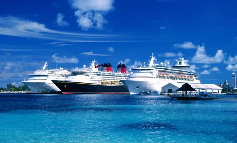 Cruise Bookings Surge, Dominating Travel Advisors’ Business, Survey
