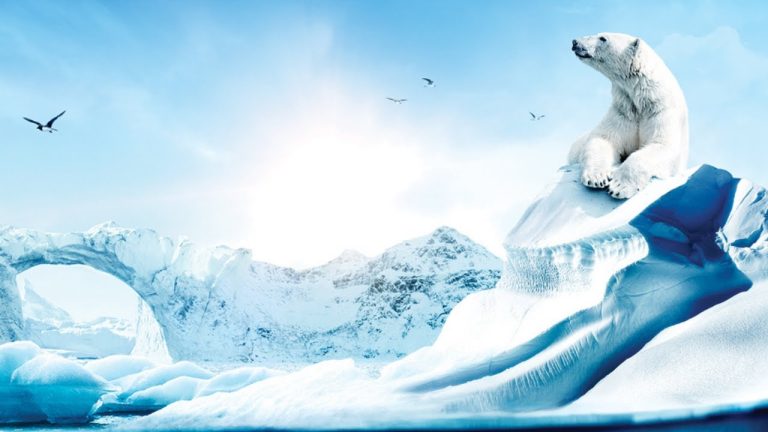 Polar Wonders: Unveiling Arctic and Antarctic Marvels