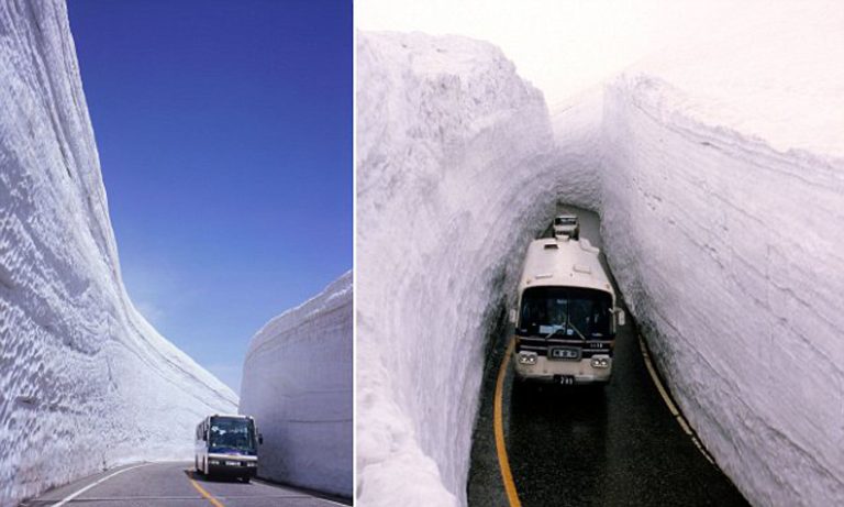 Tateyama’s Winter Wonderland: A Visual Feast of 20-Meter Snow Walls