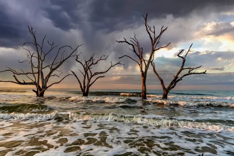 Discovering Tranquility: A Guide to Edisto Island, South Carolina