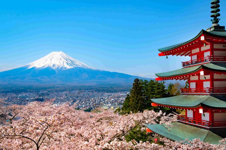 Tokyo Unveiled: A Comprehensive Guide to Captivating Experiences